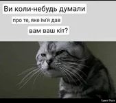 410386913_2718851651589519_5351850748970821907_n.webp