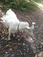 IMG_20181009_125254.jpg