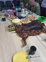 IMG_20231231_234306.webp