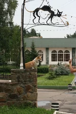 IMG_6027.webp