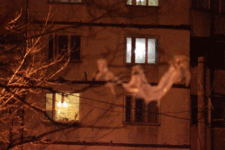 10_MG_1273.gif