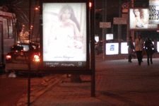 40_MG_1237.gif