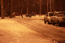 50_MG_1303.gif