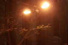 60_MG_1056.gif
