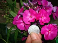 9.webp