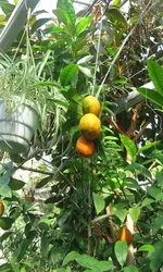 IMG_0304.webp