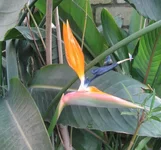 IMG_0321.webp