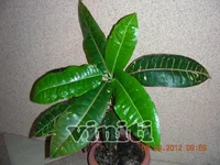 DSCN8027.webp