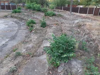 20200919_175934.webp