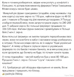  зерно.webp