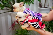 _IGP0830.webp