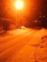 DSC03428.webp