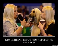 .webp