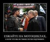 x_5432d960.jpg