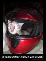 y_0ac6039f.webp