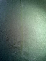 2012-03-06 12.13.23.webp