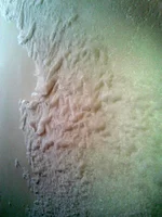 2012-03-06 12.12.35.webp