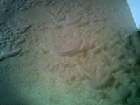 2012-03-06 12.14.14.webp