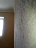 2012-03-06 12.14.28.webp
