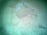 2012-03-06 12.14.44.webp