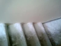 2012-03-06 12.14.55.webp
