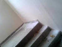 2012-03-06 12.15.02.webp