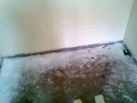 2012-03-06 12.15.10.webp