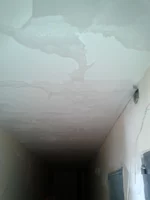 2012-03-06 12.15.50.webp