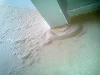 2012-03-06 12.14.04.webp