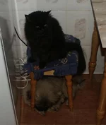 В доме.jpg