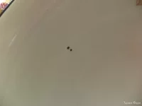 DSC01896.webp