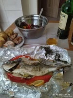 IMG_20240309_073623_compress21.webp