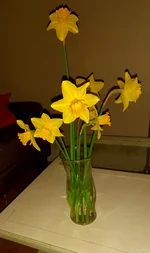 20240308_183354.webp