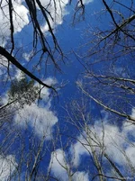 IMG_20240309_111506.webp