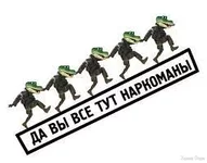 .webp