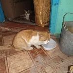 IMG_20240314_050557.webp