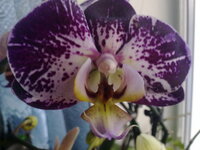 190120121015q.jpg