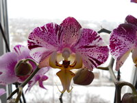 DSCN0538q.jpg