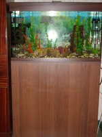 DSCN1881.JPG