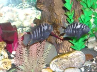 DSCN1910.webp