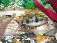 DSCN1131.webp