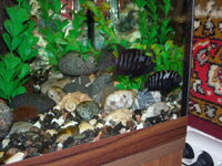 DSCN1905.JPG