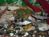DSCN1140.JPG