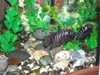 DSCN1911.webp