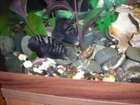 DSCN1915.webp