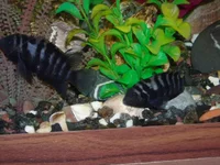 DSCN1922.webp