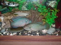 DSCN1970.webp
