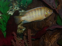 DSCN2014.JPG