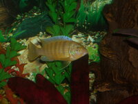 DSCN2033.JPG