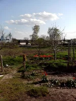P01-05-11_17.09[4].webp